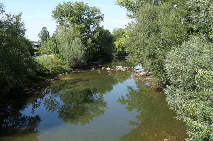 Neckar bei Wendlingen