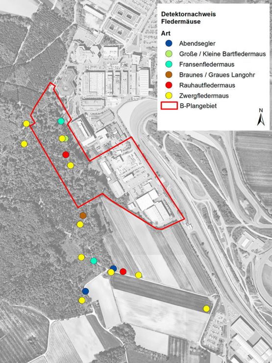 Karte Fledermauserfassung Weissach